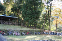 丹沢湖　コギー自転車イベント